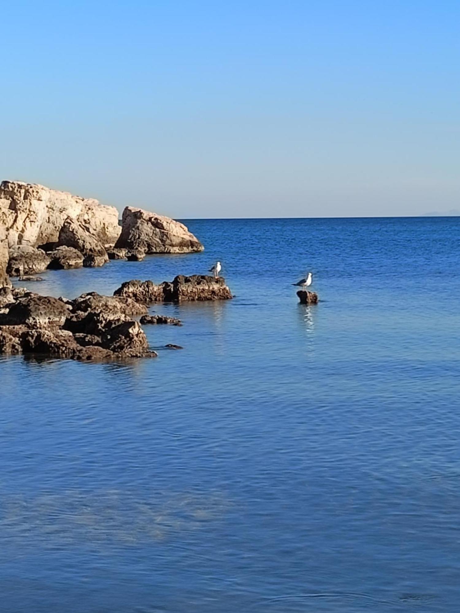 Finikas Rooms Agia Marina  外观 照片
