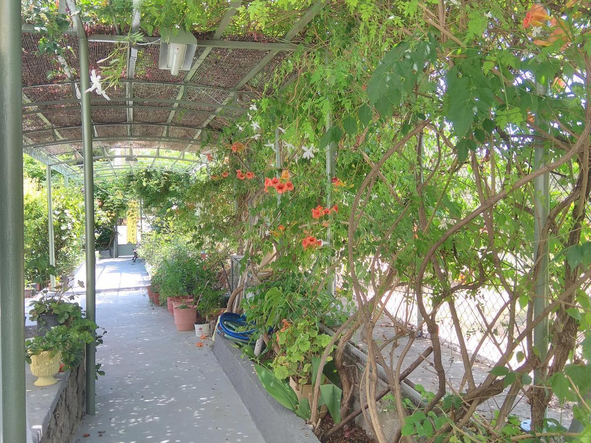Finikas Rooms Agia Marina  外观 照片